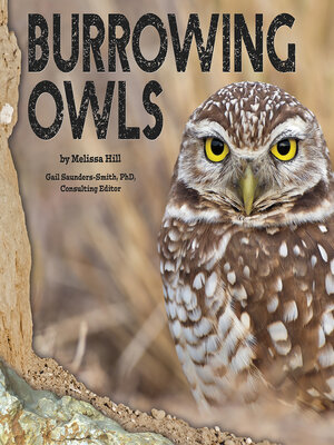 cover image of Burrowing Owls